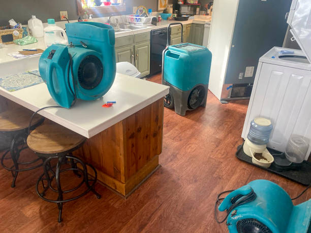 Best Flood damage cleanup  in Carter, TX