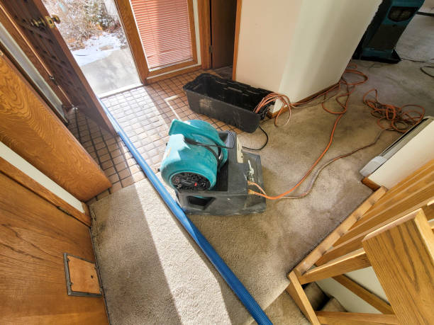 Best Sewage cleanup and water damage restoration  in Carter, TX