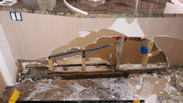 Best Local water damage restoration  in Carter, TX