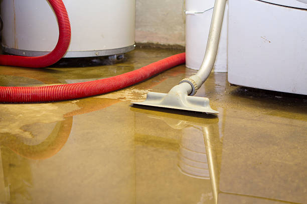 Sewage cleanup and water damage restoration in Carter, TX