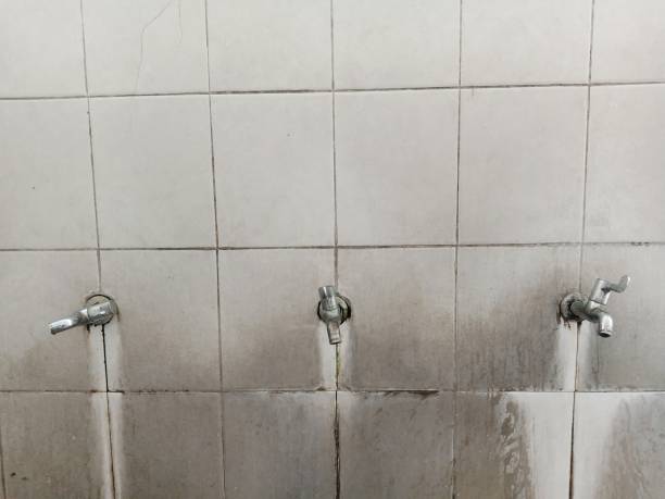 Best Carpet water damage restoration  in Carter, TX